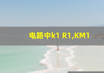 电路中k1 R1,KM1